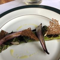 Lunan Bay Farm Asparagus at The Clunie Dining Room in Ballater