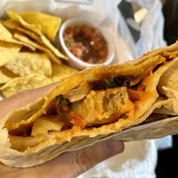 Buffalo crane   at Take Two Cafe in Schenectady