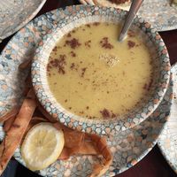   at Mahalle in Copenhagen