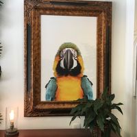 Decor from Tropic Betty at Tropic Berry Cafe in New York City