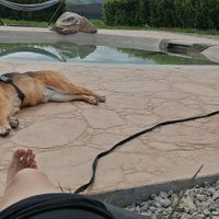 Piscina at O Viso Ecovillage in Ourol