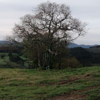  at O Viso Ecovillage in Ourol