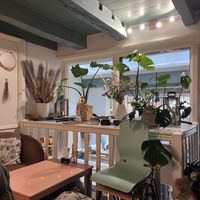 Inside  at Blossom in Leiden