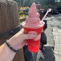   at Walt Disney World - Sunshine Tree Terrace in Lake Buena Vista