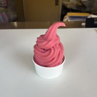   at Walt Disney World - Sunshine Tree Terrace in Lake Buena Vista