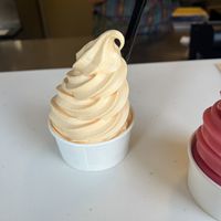   at Walt Disney World - Sunshine Tree Terrace in Lake Buena Vista