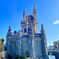 Cinderella’s Castle  #Veganuary at Walt Disney World - Cinderella's Royal Table in Lake Buena Vista