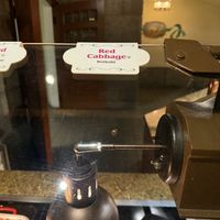   at Walt Disney World - Biergarten Restaurant in Lake Buena Vista