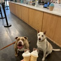 Vegan pup cups 🥰  at Simons Says Dip This in Durham