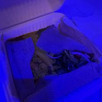 Vegi platter   at Addissae in Asheville