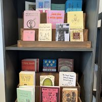 Zines for sale at New Moon Vegan in Batavia