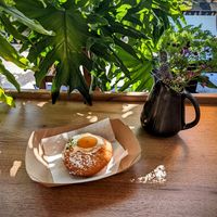 Apricot donut with a cream filling at New Moon Vegan in Batavia