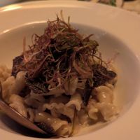 Truffle gigli pasta -- the best of the pastas we had at Soda Club in New York City