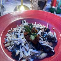  at Bookeria in Rovinj