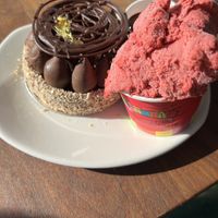 Chocolate coconut tart with raspberry sorbet  at Great Ocean Road Chocolaterie & Ice Creamery in Bellbrae