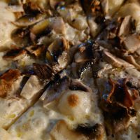 Truffle pizza with vegan cream at Artisti in Corfu