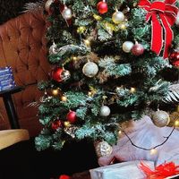  at The Giddy Goose in Forfar