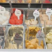 12 vegan flavors to choose from at Papilla in Nice