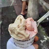  at Papilla in Nice
