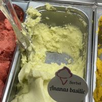   at Papilla in Nice