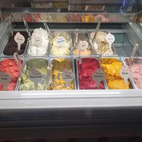  at Papilla in Nice