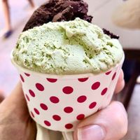 Matcha   at Papilla in Nice