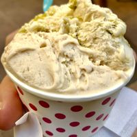 Hazelnut   at Papilla in Nice