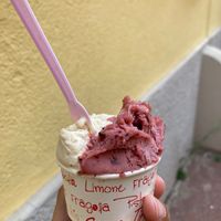 Fig sorbet and vegan hazelnut ice cream at Papilla in Nice