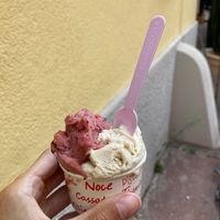 Fig sorbet and vegan hazelnut ice cream at Papilla in Nice