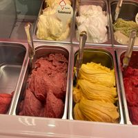  at Papilla in Nice