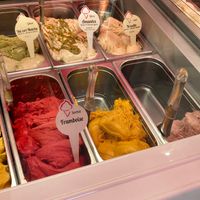  at Papilla in Nice