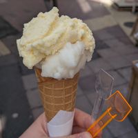  at Papilla in Nice