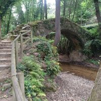 Puente cerca del molino donde pasa la riera de Arbúcies at El Molí de les Pipes in Arbucies