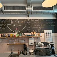  at Sattva Vegan in Vienna