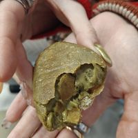  at La Cosa Vegana in Granada