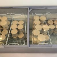 Ice Cream at Vegateau in Montreal