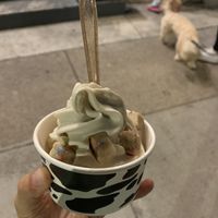 Seasonal pistachio flavor with funfetti cake bites!  at Vaca's Creamery in Chicago