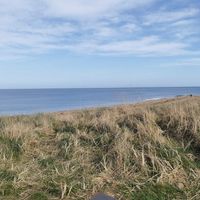 The beach! at The Cheesy Toast Shack in St Andrews