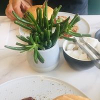 Plants!  at Moka  in Ardrossan