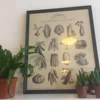 Decor at Moka  in Ardrossan