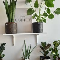 Interior at Moka  in Ardrossan