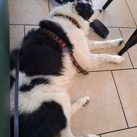  at Moka  in Ardrossan