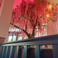 Interior at Tu Mundo Coffee in Prestatyn