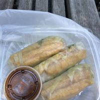 Tofu spring rolls  at 163 Vietnamese Sandwiches & Bubble Tea in Boston