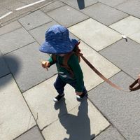 Little little vegan, loves his vegan ice cream  at Mac's in Linlithgow