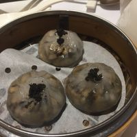 Translucent mushroom dumplings with truffle (yum!) at Vegelink in Hong Kong Island