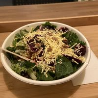 Salad with vegan cheese at Granvegano in Poznan