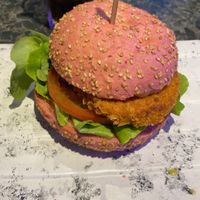   at Vegan Temple Bar in Amsterdam