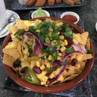 Avocado fries, supreme nachos  at Vegan Temple Bar in Amsterdam