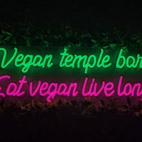  at Vegan Temple Bar in Amsterdam